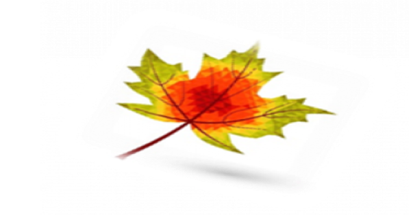 Leaf Financial Pty Ltf